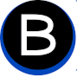 Bulkdata Pro Logo